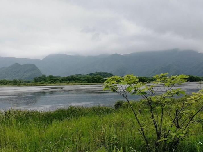 神农架大九湖国家湿地公园好玩吗