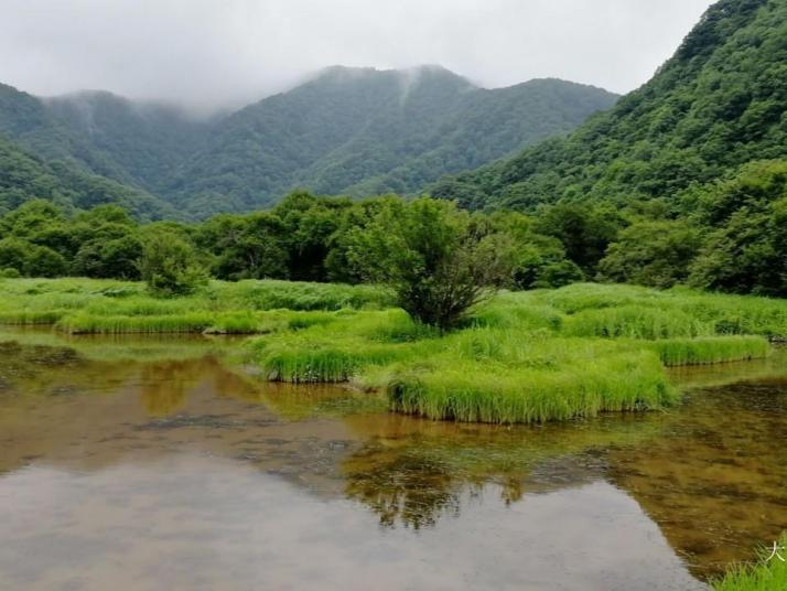 神农架大九湖国家湿地公园图片