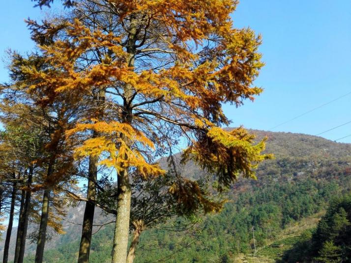 岳西石关八里风光图片