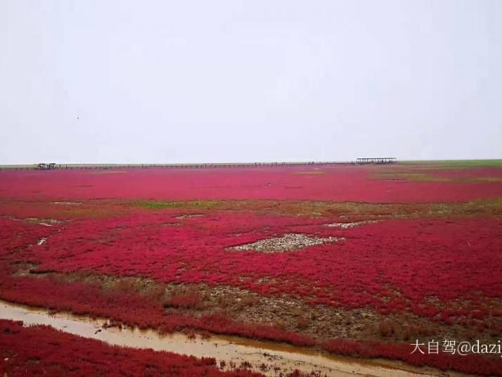 大洼红海滩国家风景廊道