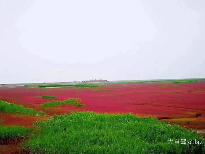 大洼红海滩国家风景廊道好玩吗