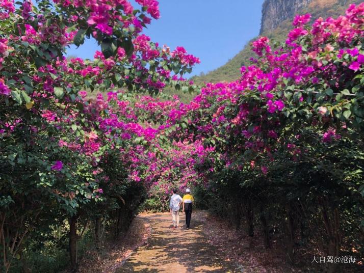 桂林桂林花海景区好玩吗