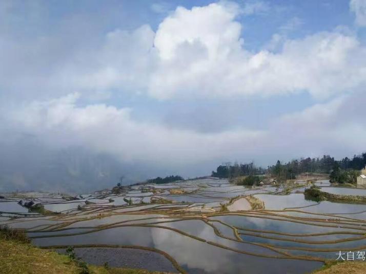 元阳元阳多依树景区