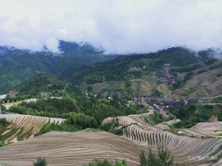 龙胜九龙五虎观景点图片