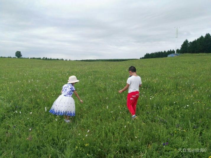 围场百花坡图片