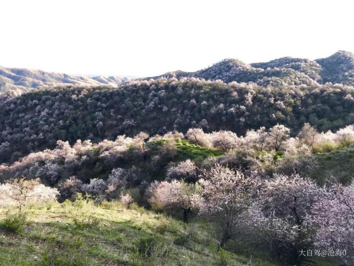 霍城中华福寿山旅游区图片