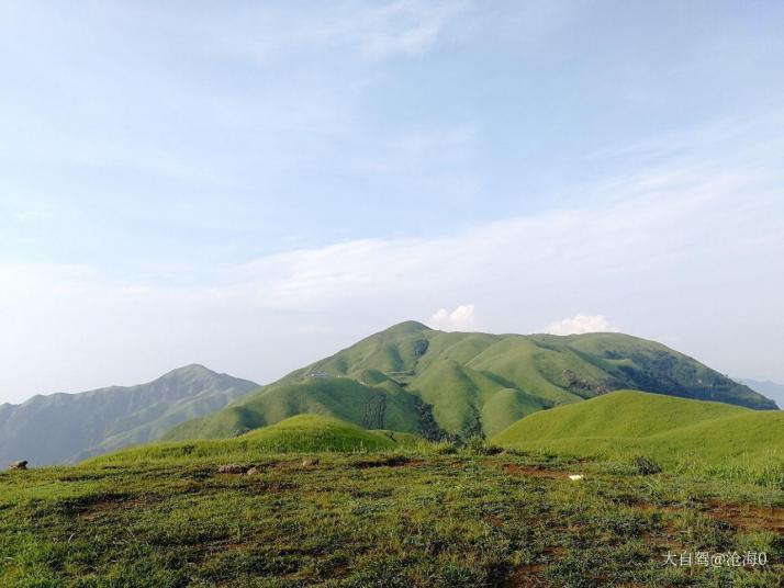 宜春明月山高山草甸好玩吗