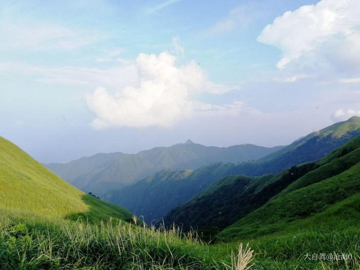 宜春明月山高山草甸