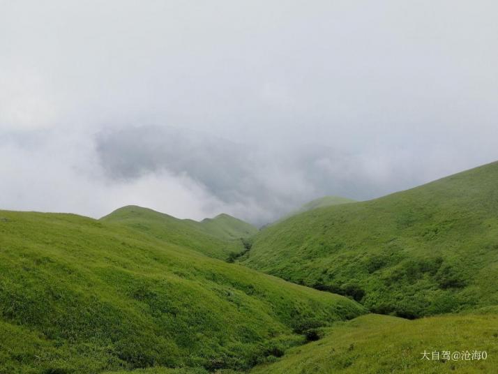 宜春明月山高山草甸图片