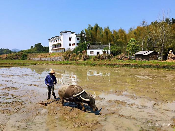 婺源严田古樟民俗园