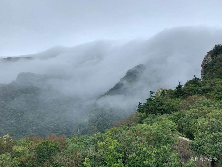 柞水牛背梁国家森林公园图片