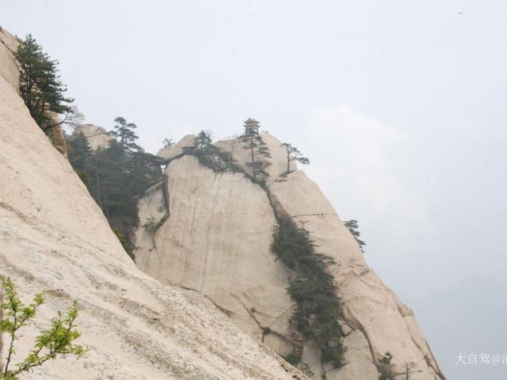 华阴华山鹞子翻身图片