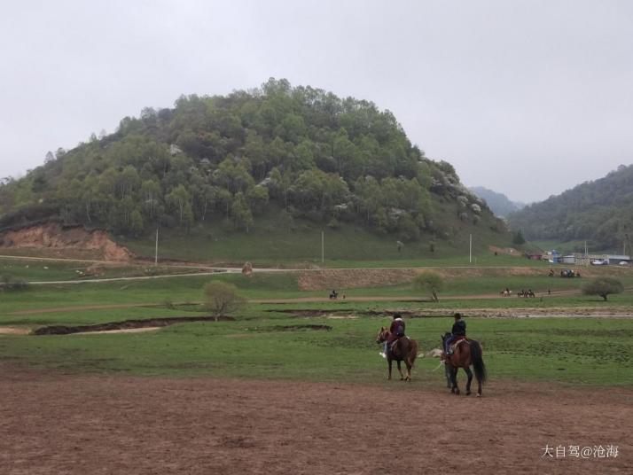 陇县关山草原牧场图片