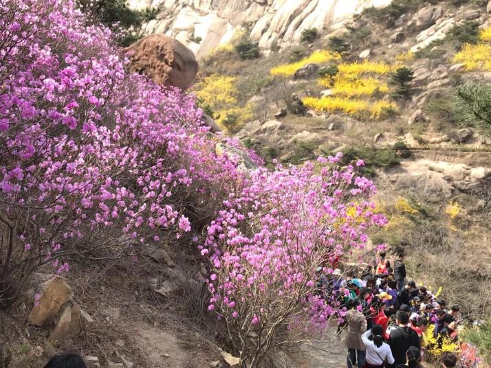 青岛大珠山风景区好玩吗