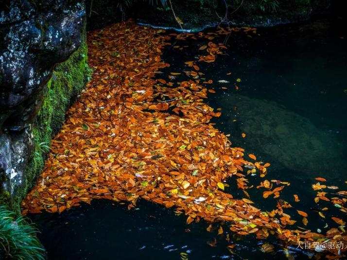 雅安龙苍沟叠翠溪景区好玩吗