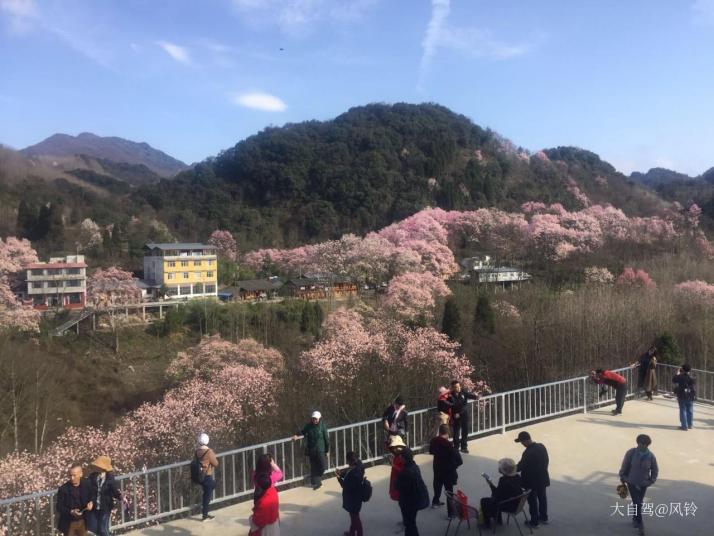 北川九皇山花溪景