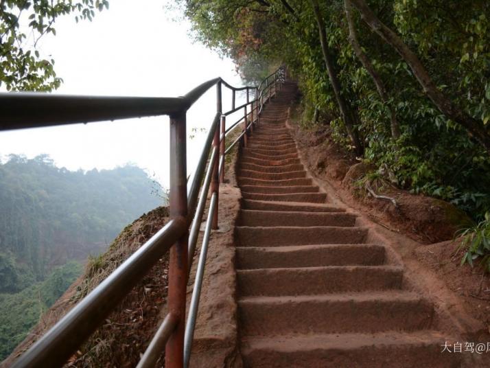 仁化阳元山好玩吗