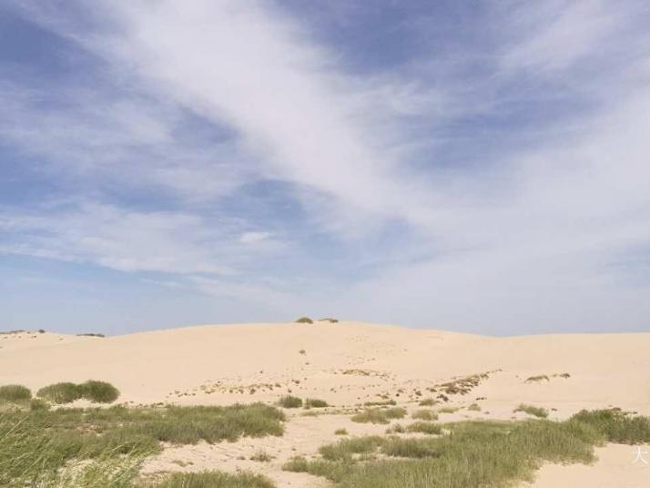 翁牛特其甘沙漠旅游区图片