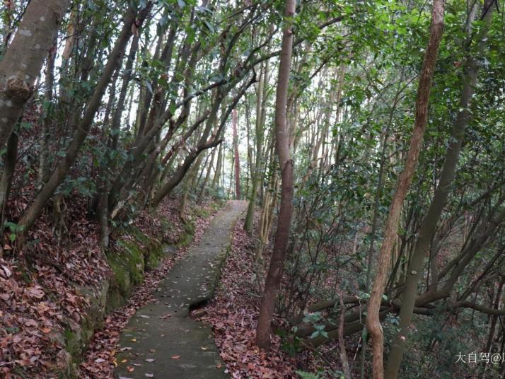 黄山太平湖黄金岛好玩吗