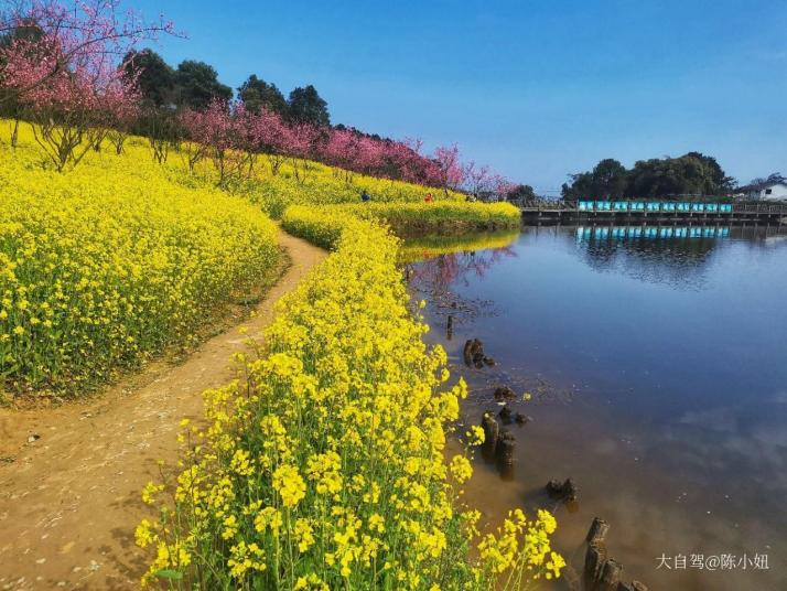 重庆天坪山云林天乡