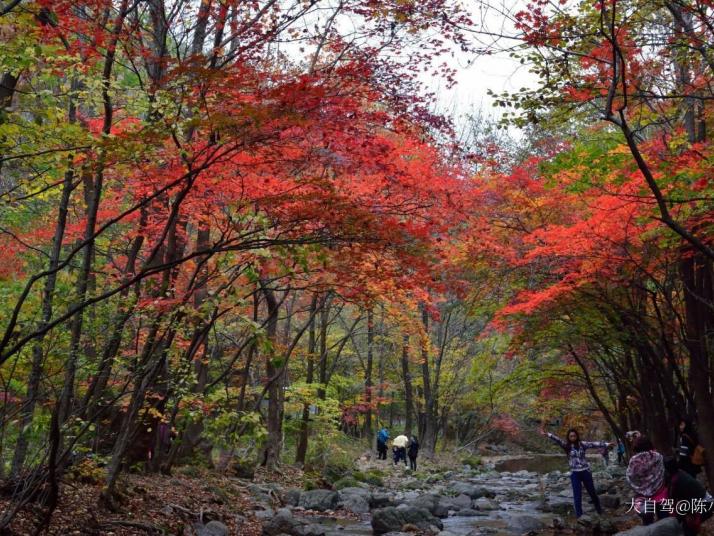 本溪关门山国家森林公园图片