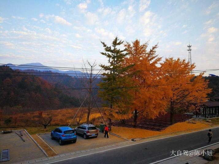 岳西鹞落坪自然保护区好玩吗