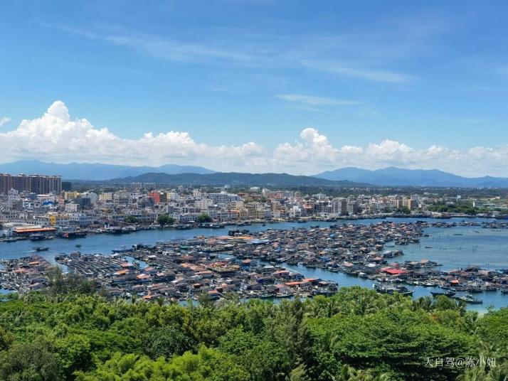 陵水南湾猴岛