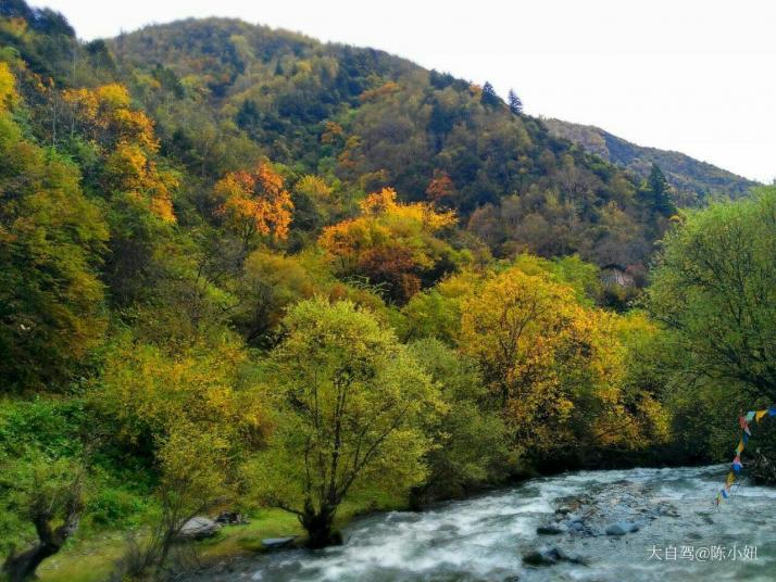 马尔康梭磨河大峡谷图片