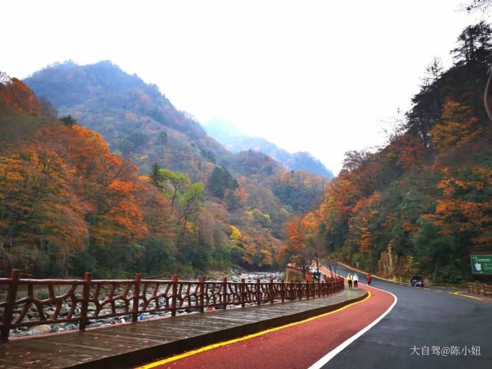 四川米仓山国家森林公园