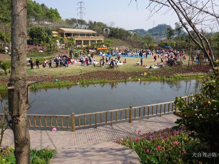 自贡自贡花香田园景区图片