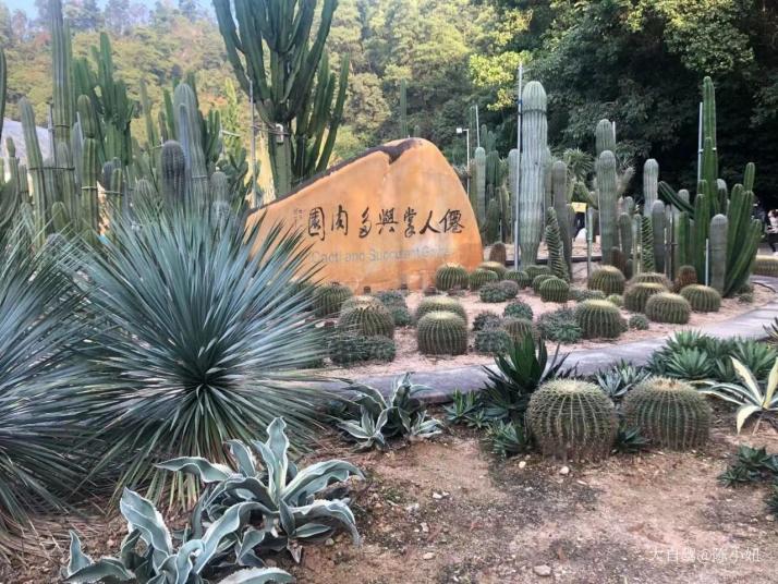 深圳仙湖植物园好玩吗
