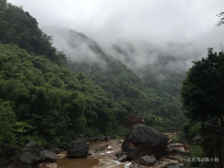 赤水燕子岩国家森林公园 图片