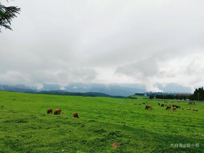 六盘水乌蒙山国家地质公园图片