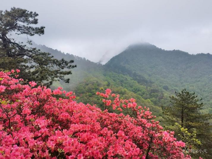 麻城龟峰山景区