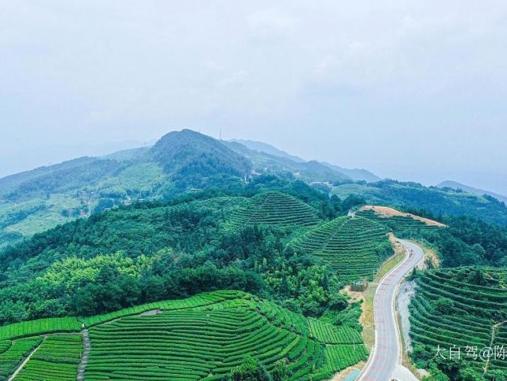 重庆茶山竹海好玩吗