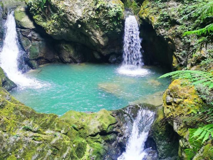 重庆黑山谷风景区图片