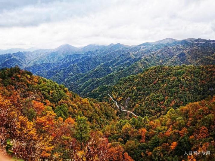 城口重庆大巴山