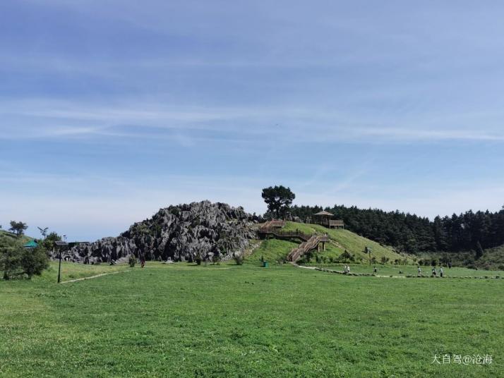 重庆重庆千野草场景区图片