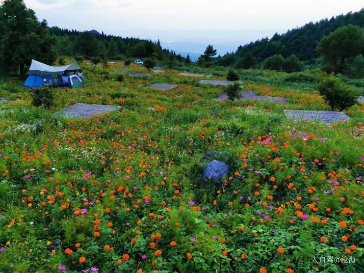 重庆重庆千野草场景区好玩吗