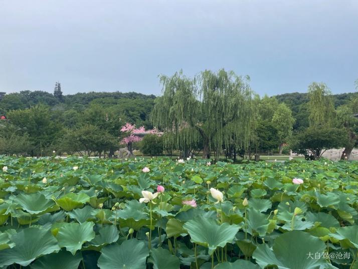 乌鲁木齐水磨沟公园图片