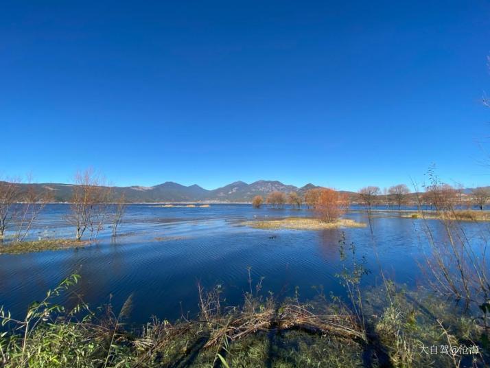 丽江拉市海湿地