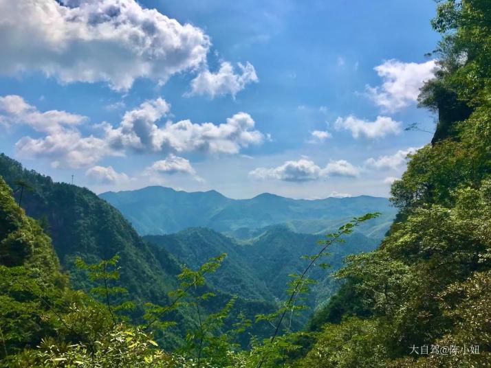 丽水神龙谷景区图片