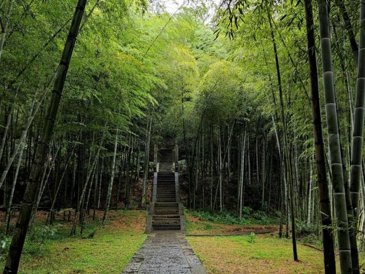 浦江仙华山风景区图片