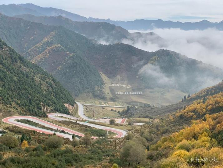 互助青海北山林场