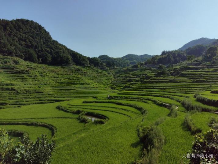 蕲春雾云山梯田图片