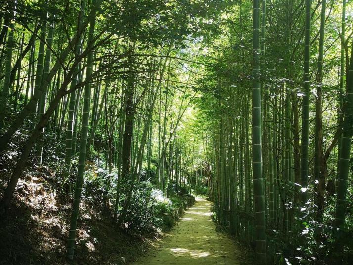 岳西大别山彩虹瀑布好玩吗