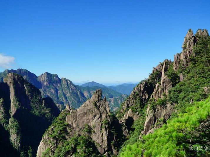 黄山天都峰图片