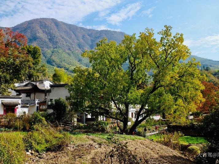 黟县塔川村图片