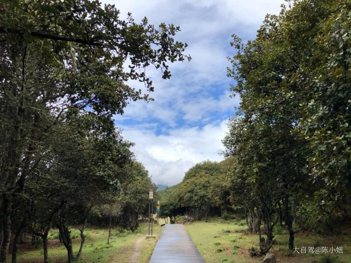 林芝 比日神山生态景区图片