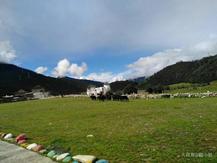 林芝扎西岗村图片